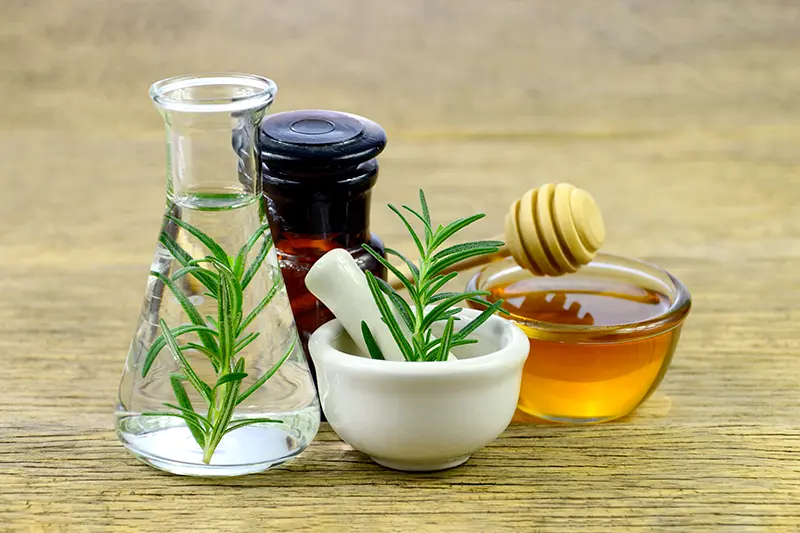 tea-tree-essential-oil